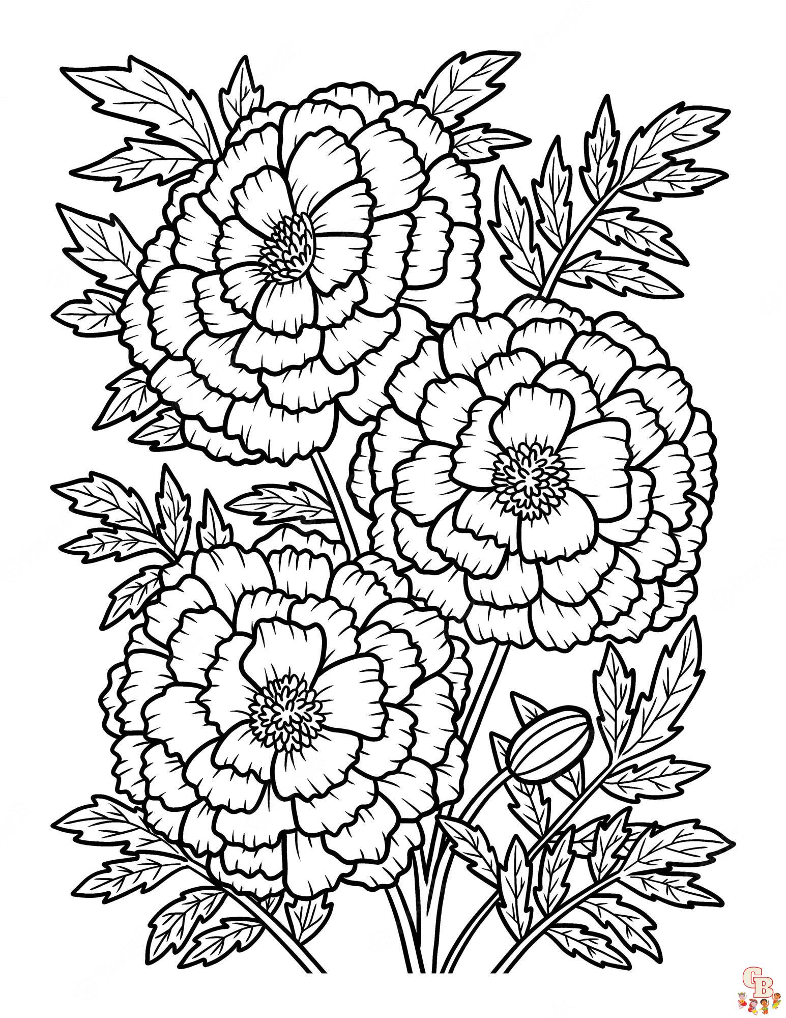 120 Vibrant Marigold Coloring Pages Printable 112