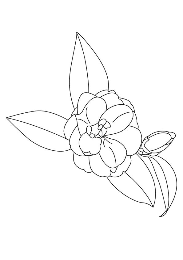 vibrant marigold coloring pages printable jpg