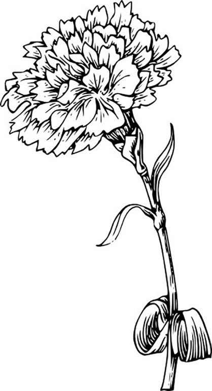 120 Vibrant Marigold Coloring Pages Printable 15