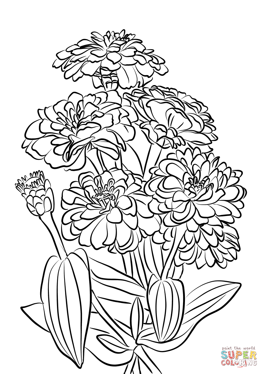 120 Vibrant Marigold Coloring Pages Printable 16