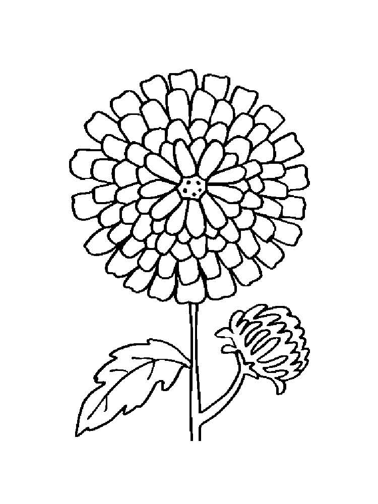 120 Vibrant Marigold Coloring Pages Printable 17