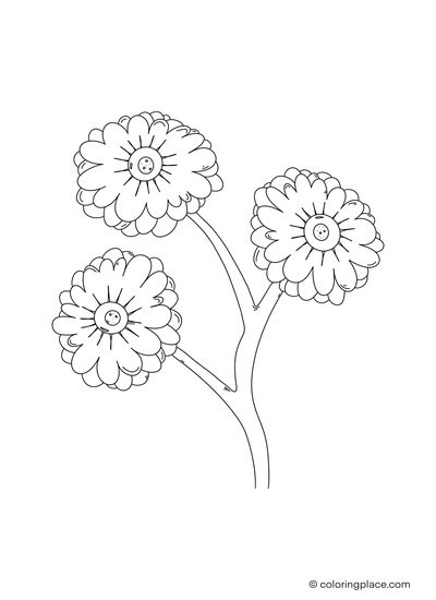 120 Vibrant Marigold Coloring Pages Printable 19