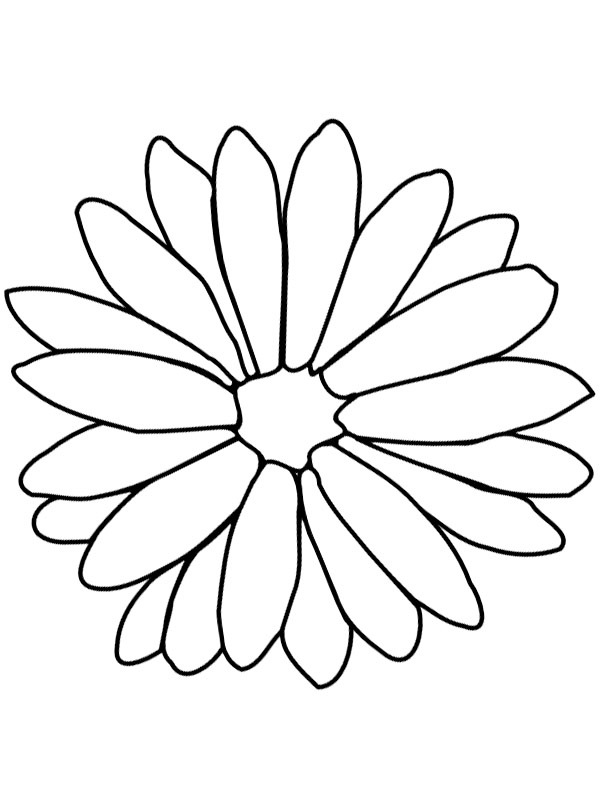 120 Vibrant Marigold Coloring Pages Printable 37