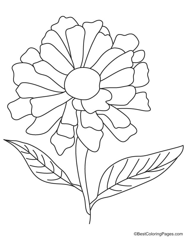 vibrant marigold coloring pages printable jpg