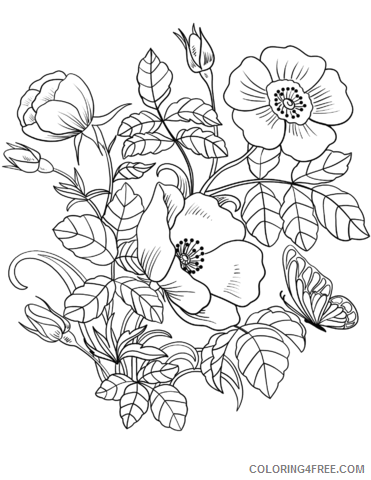 120 Vibrant Marigold Coloring Pages Printable 61