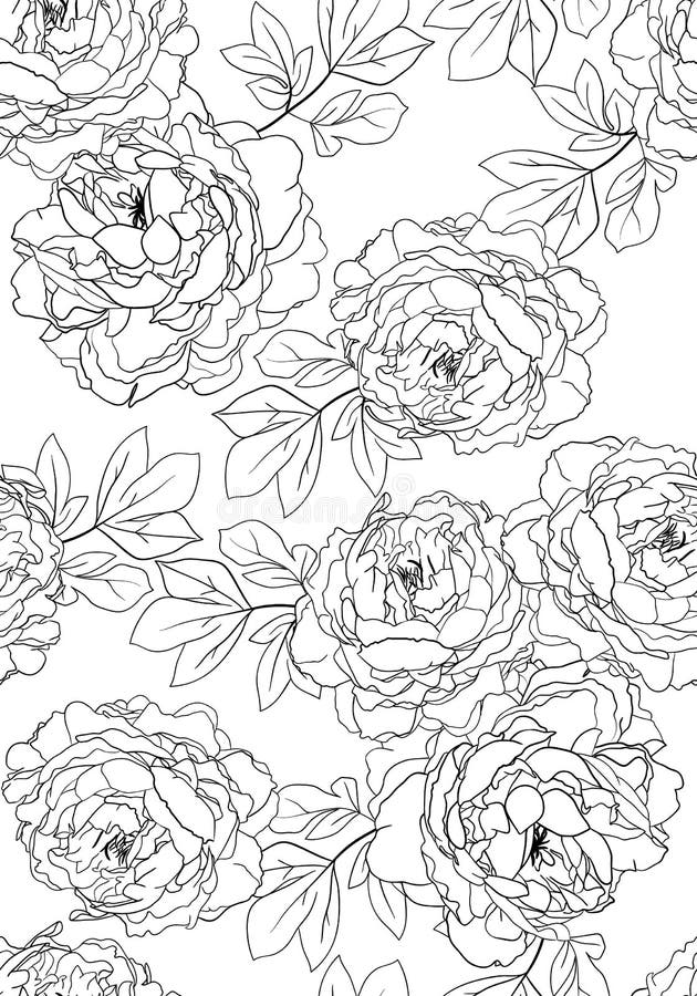 120 Vibrant Marigold Coloring Pages Printable 64