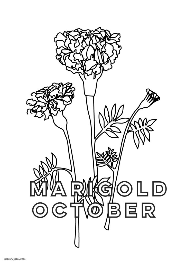 120 Vibrant Marigold Coloring Pages Printable 67