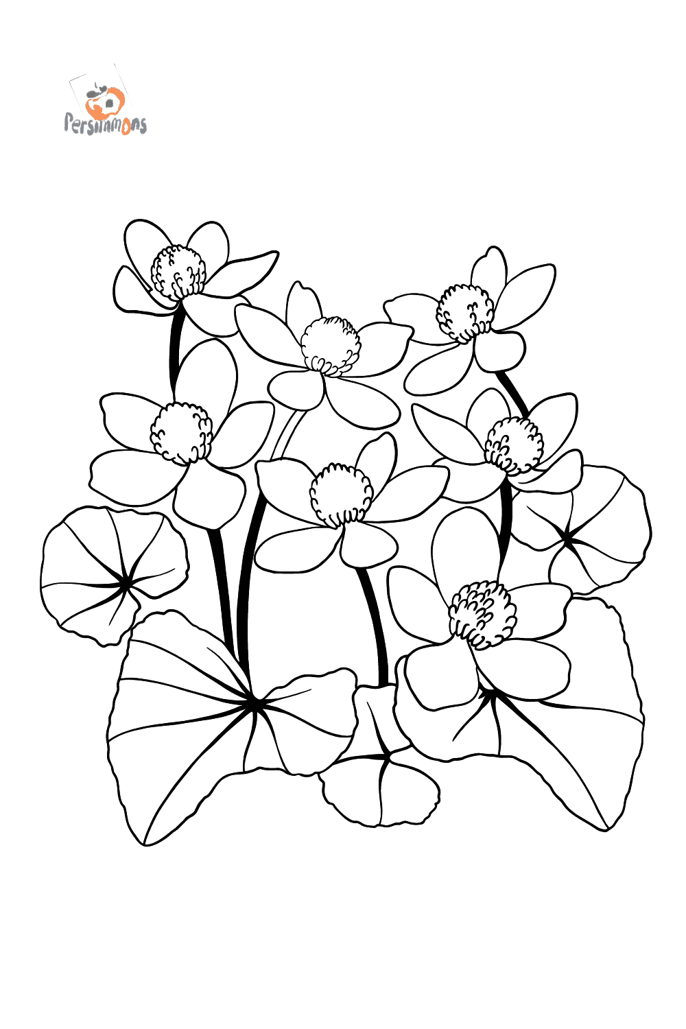 120 Vibrant Marigold Coloring Pages Printable 75