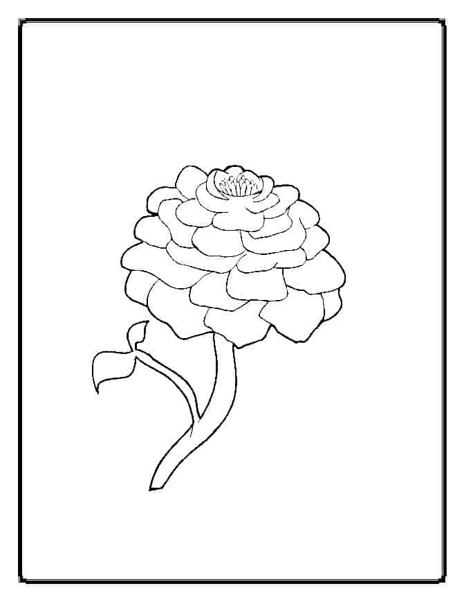 120 Vibrant Marigold Coloring Pages Printable 8