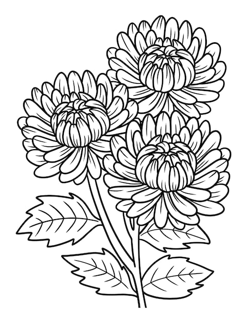 120 Vibrant Marigold Coloring Pages Printable 83