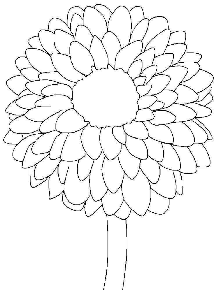 120 Vibrant Marigold Coloring Pages Printable 95