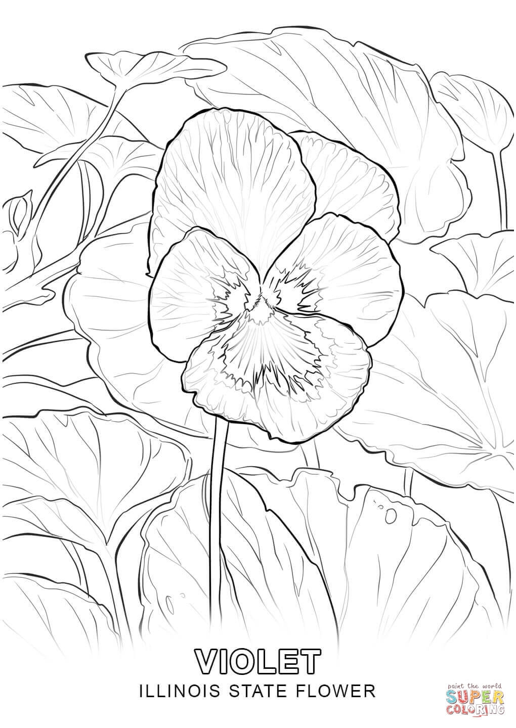 vibrant marigold coloring pages printable jpg