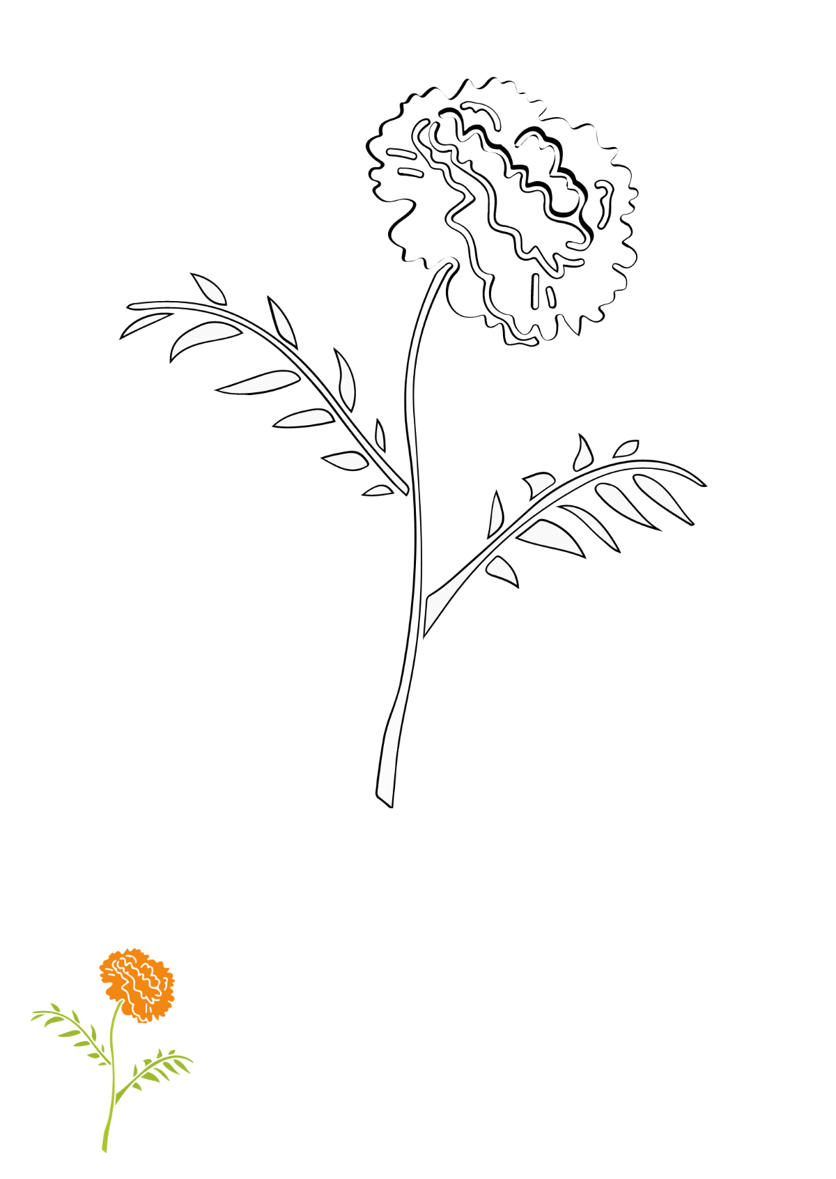 vibrant marigold coloring pages printable jpg