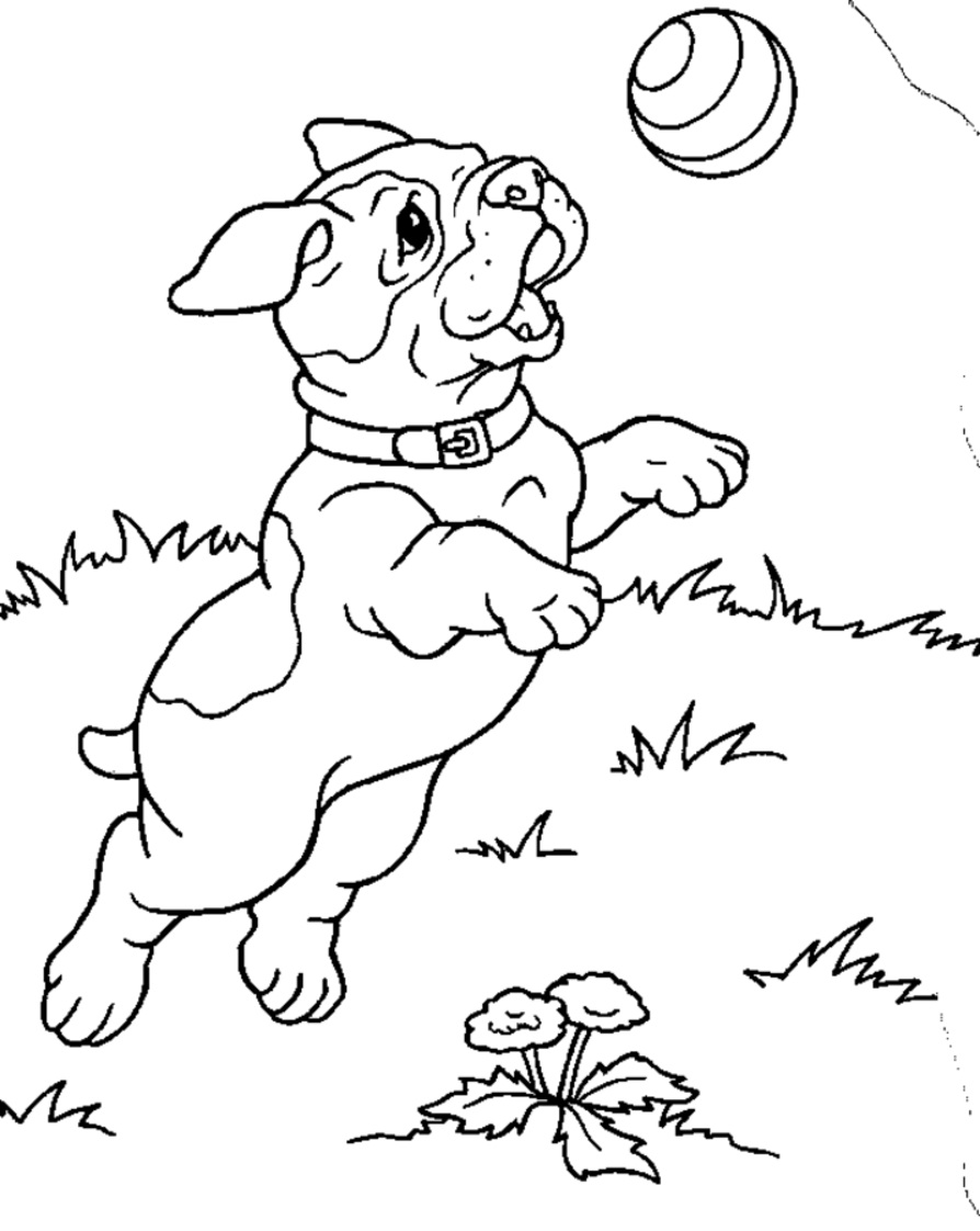 124 Puppy Coloring Pages Printable 121