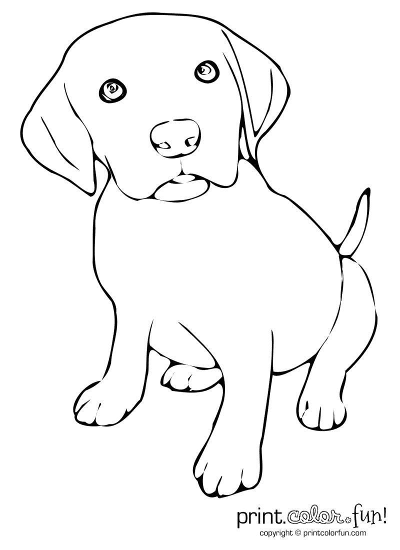 124 Puppy Coloring Pages Printable 15