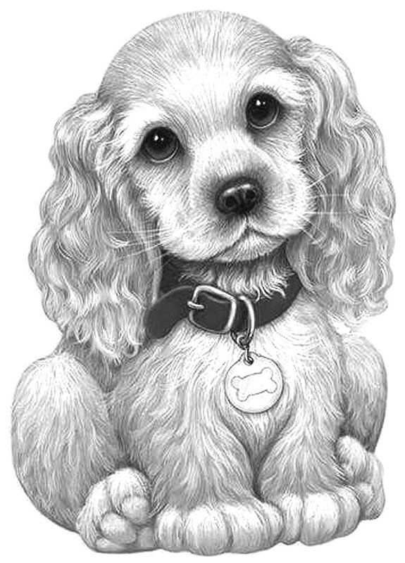 124 Puppy Coloring Pages Printable 26