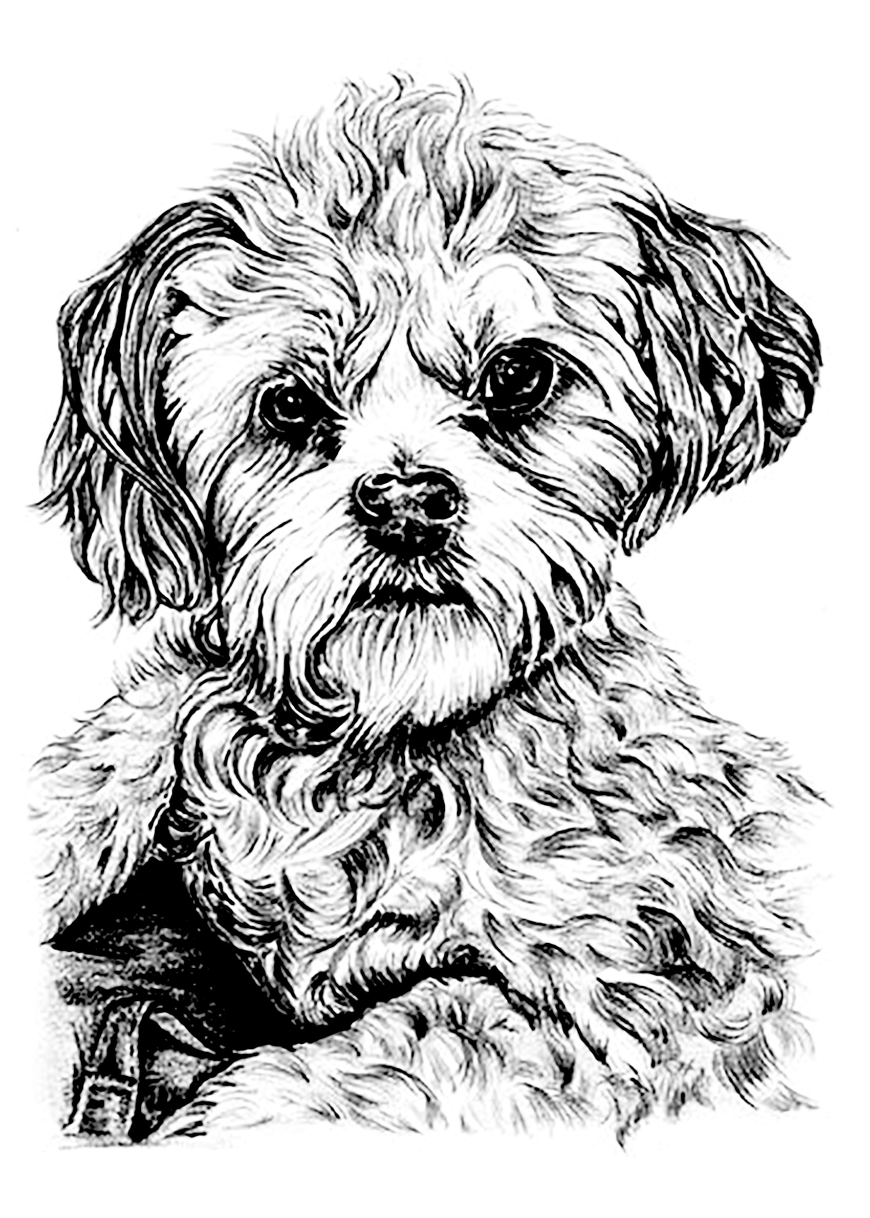 puppy coloring pages printable jpg