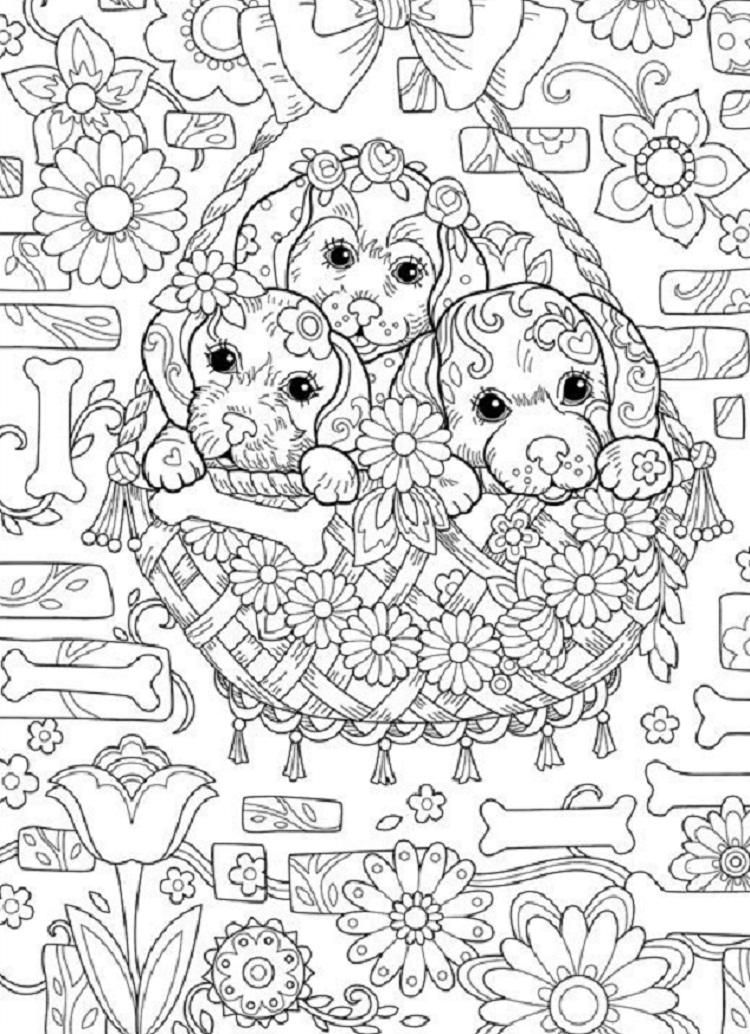 124 Puppy Coloring Pages Printable 83