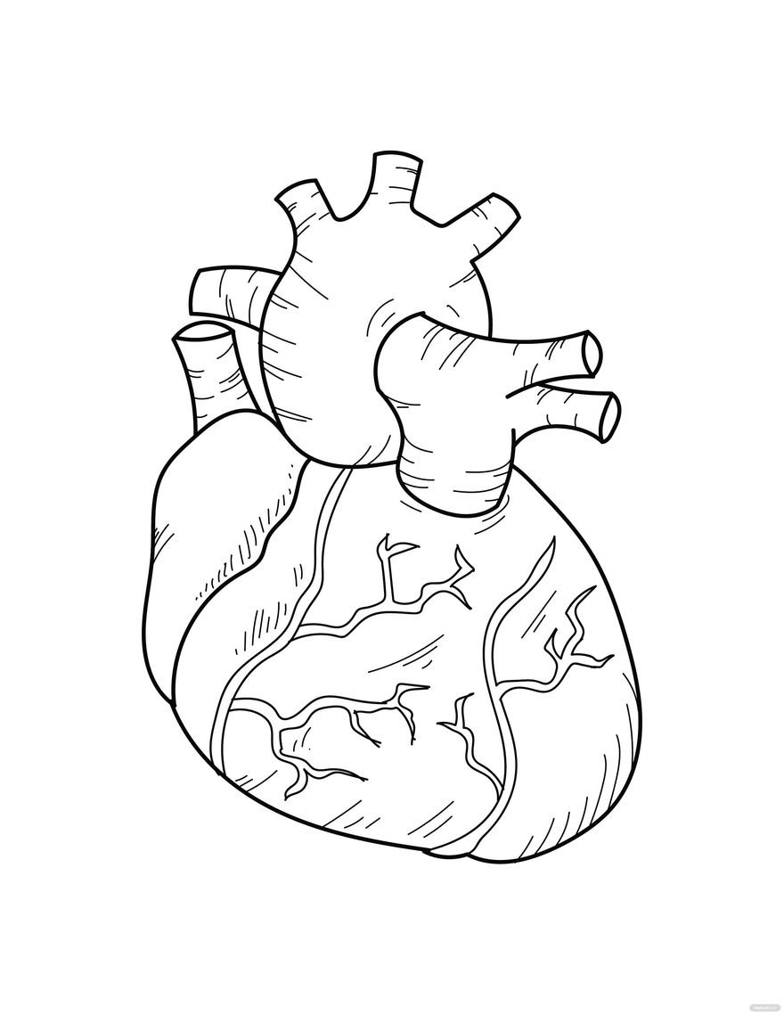 126 Free Heart Coloring Pages for Kids Printable 120