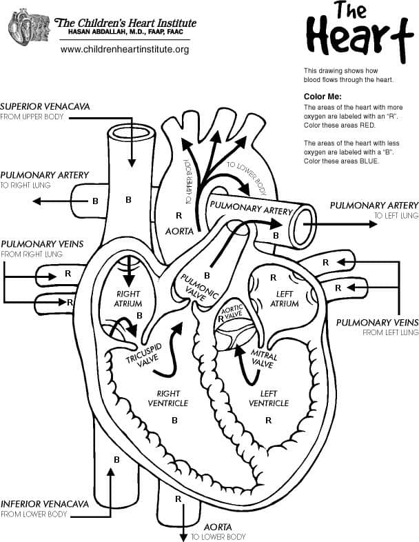 126 Free Heart Coloring Pages for Kids Printable 123