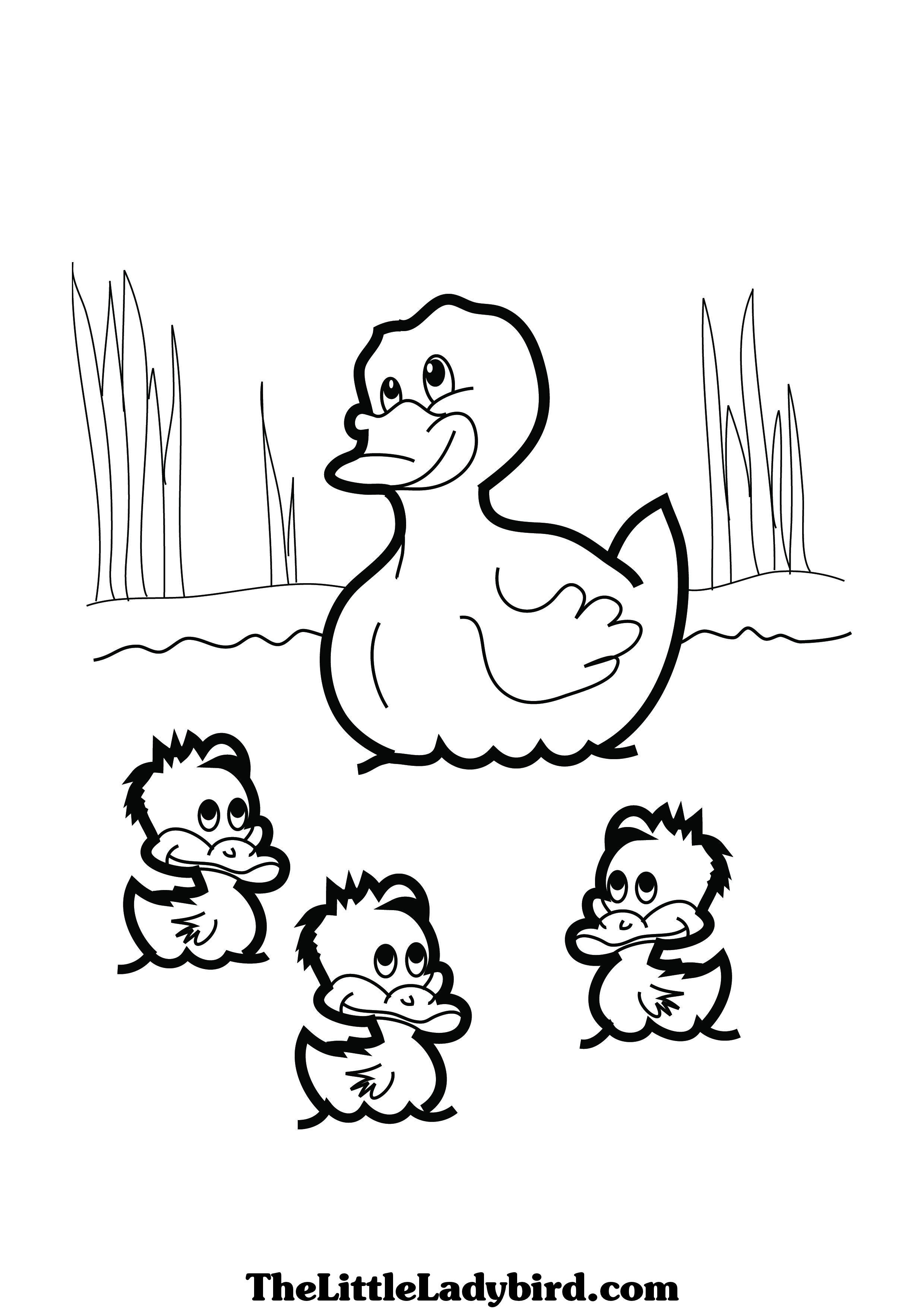 28 Adorable Cute Duck Coloring Pages Printable 11