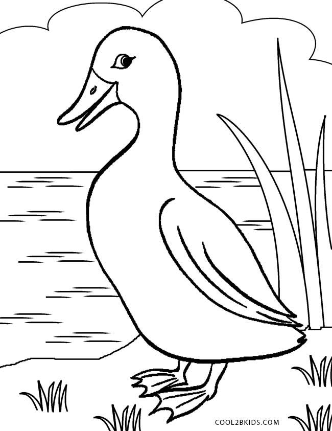 28 Adorable Cute Duck Coloring Pages Printable 17