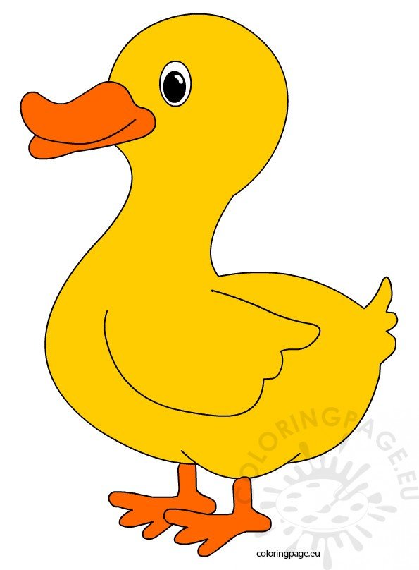 28 Adorable Cute Duck Coloring Pages Printable 19