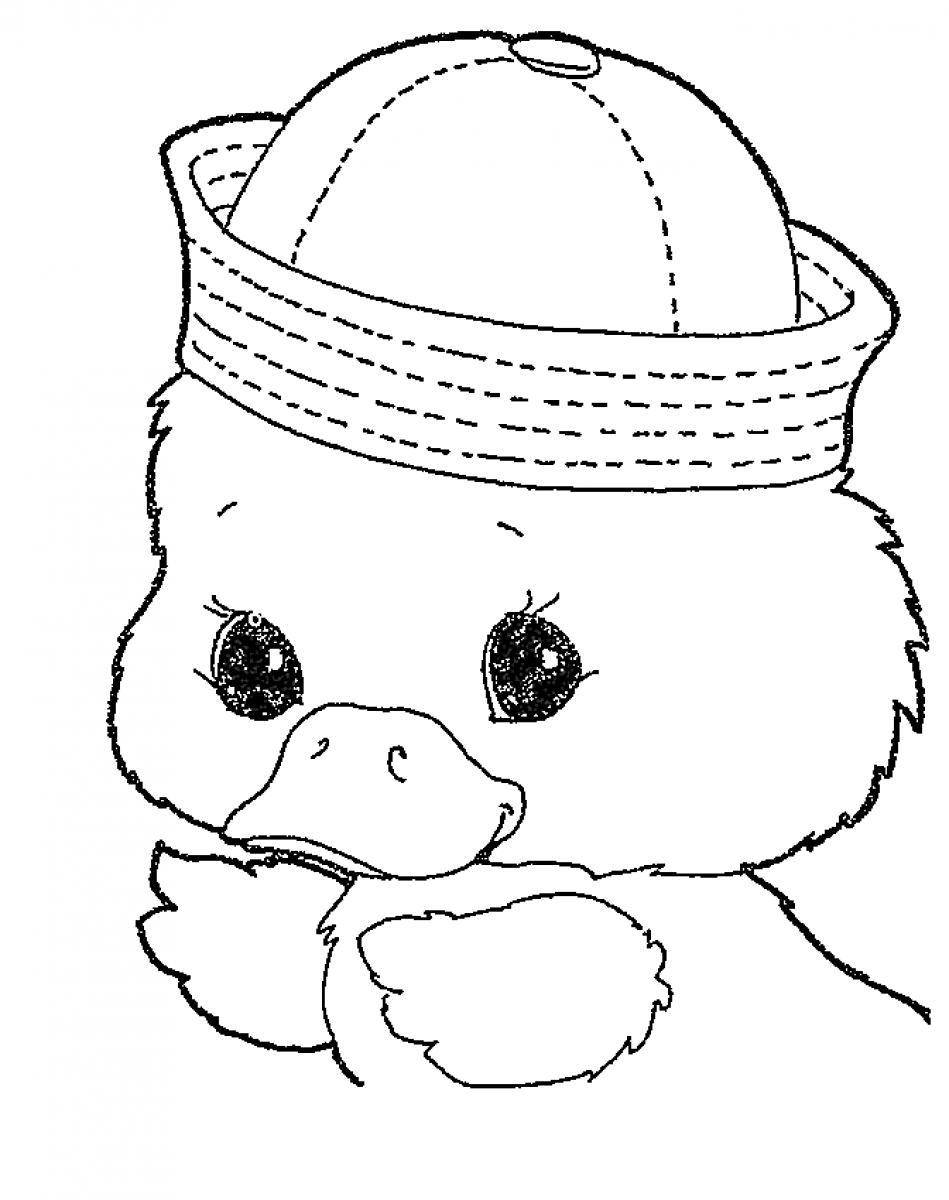 adorable cute duck coloring pages printable jpg