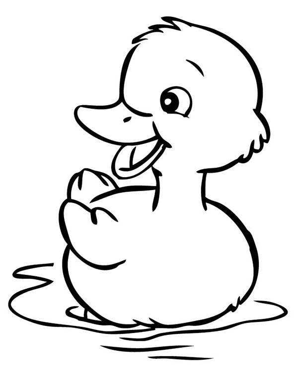 28 Adorable Cute Duck Coloring Pages Printable 26