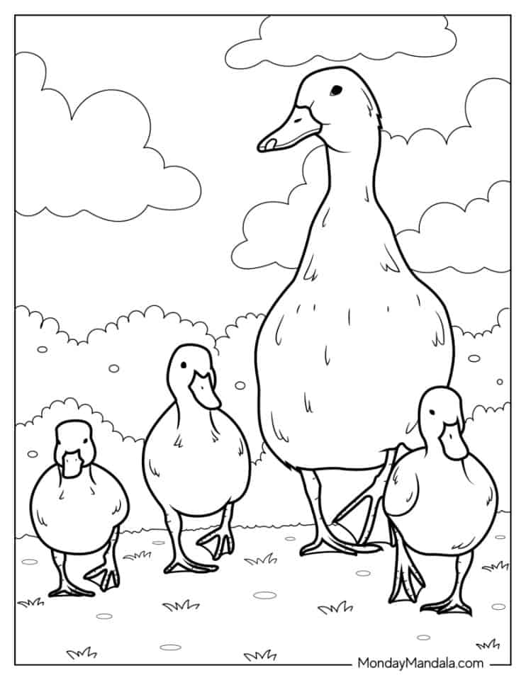 28 Adorable Cute Duck Coloring Pages Printable 30