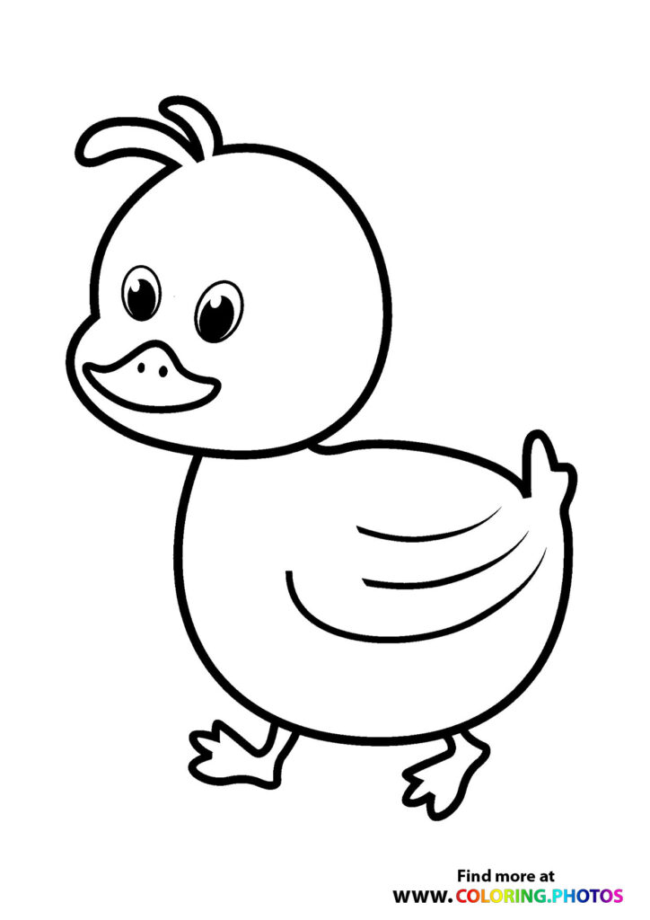 28 Adorable Cute Duck Coloring Pages Printable 35