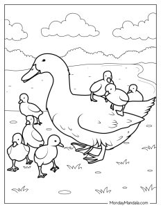 28 Adorable Cute Duck Coloring Pages Printable 6