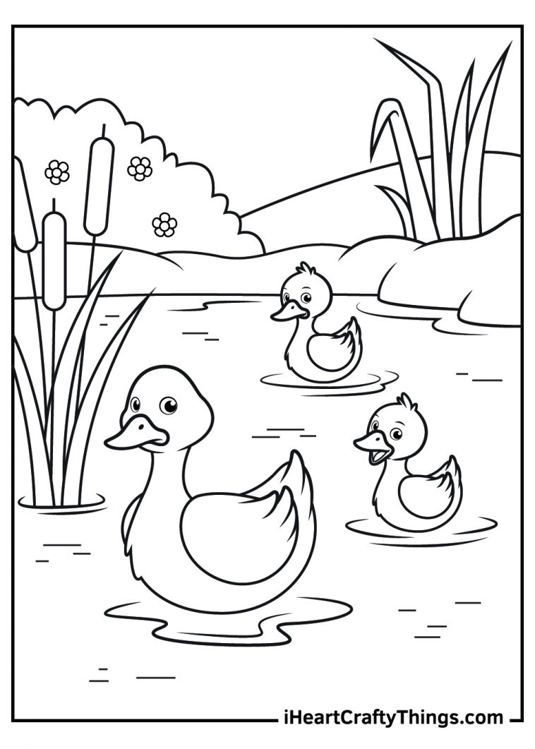 28 Adorable Cute Duck Coloring Pages Printable 7