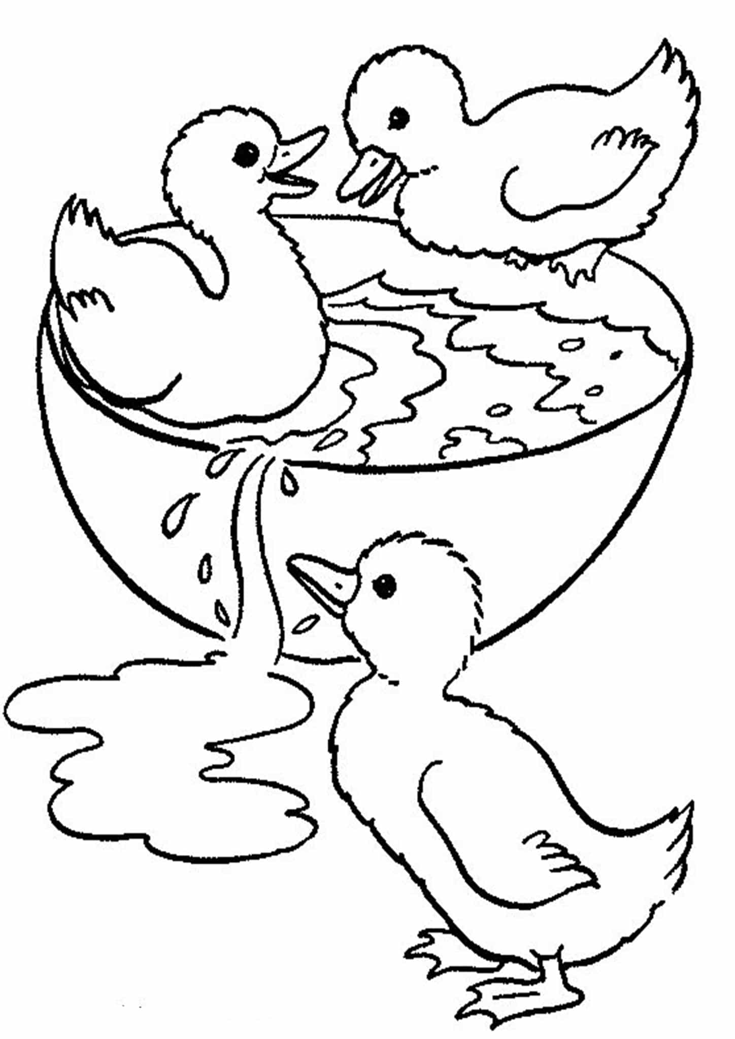 adorable cute duck coloring pages printable jpg