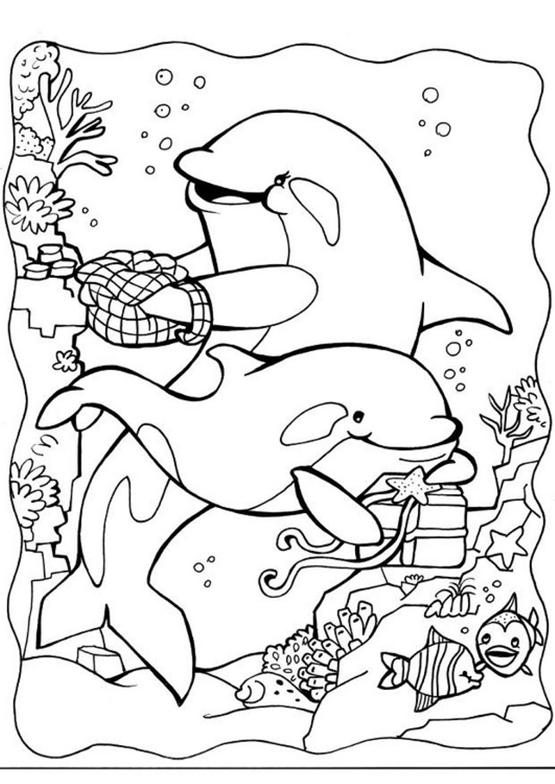 30 Playful Dolphin Coloring Pages Printable 11