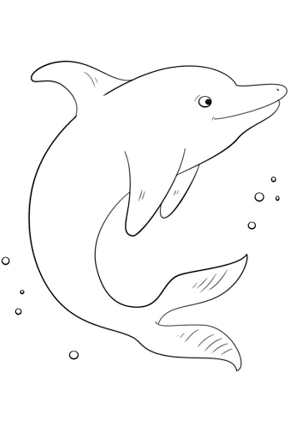 30 Playful Dolphin Coloring Pages Printable 16