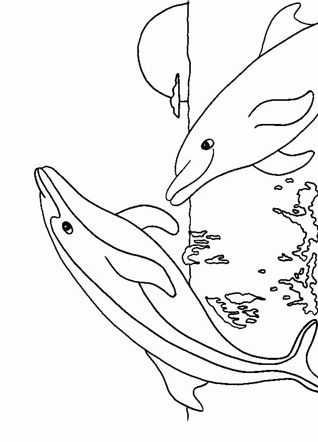 30 Playful Dolphin Coloring Pages Printable 19