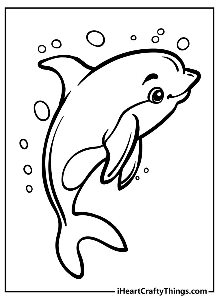 playful dolphin coloring pages printable jpg