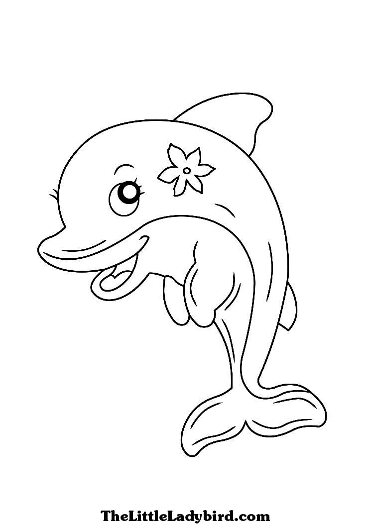 30 Playful Dolphin Coloring Pages Printable 20