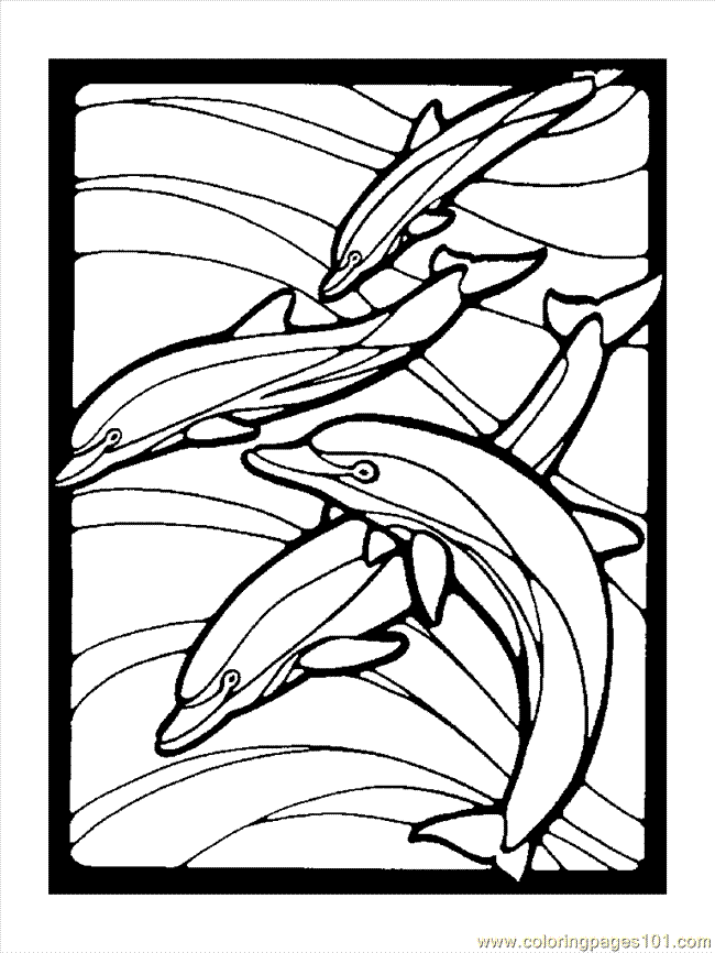 30 Playful Dolphin Coloring Pages Printable 22