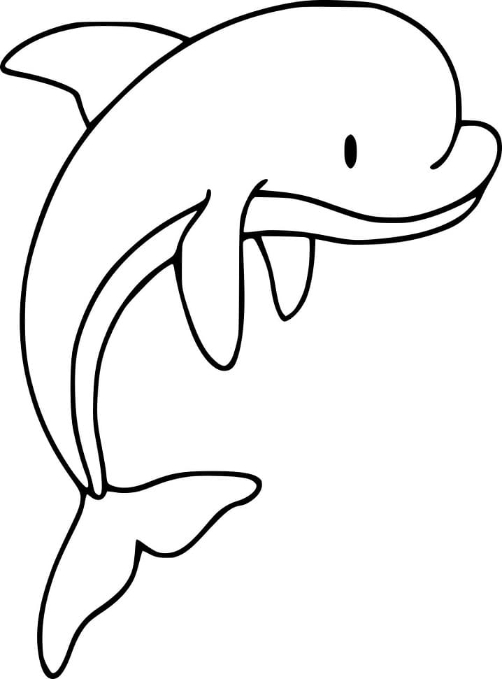 30 Playful Dolphin Coloring Pages Printable 34