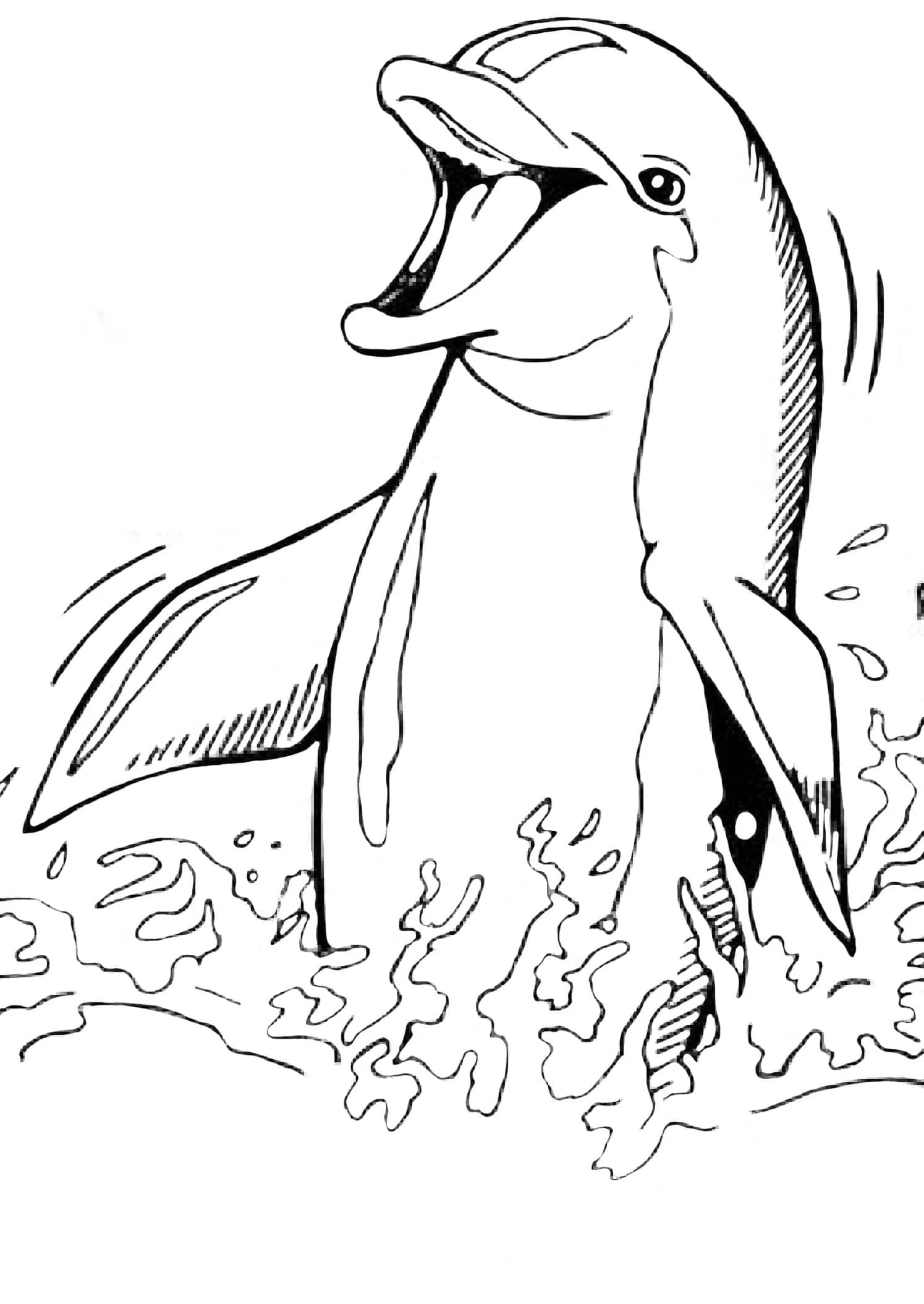 playful dolphin coloring pages printable jpg