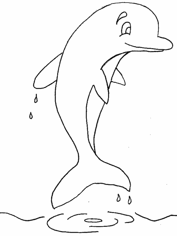 playful dolphin coloring pages printable jpg