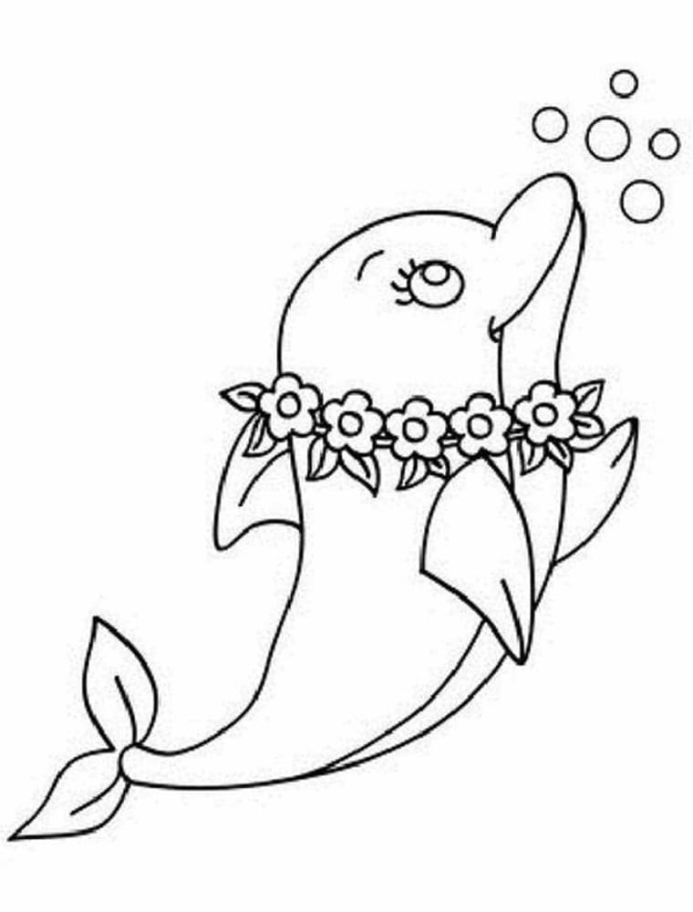 30 Playful Dolphin Coloring Pages Printable 9