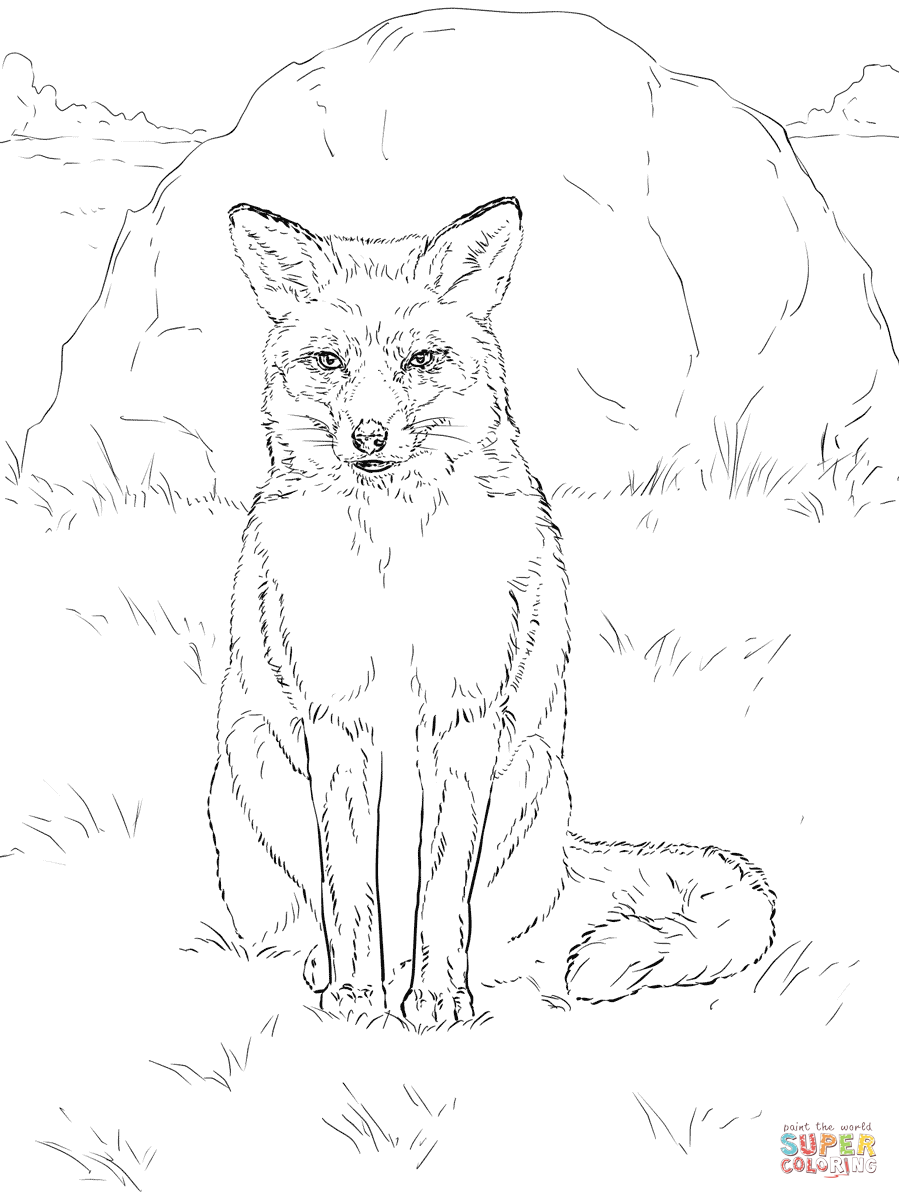 31 Cunning Fox Coloring Pages Printable 16