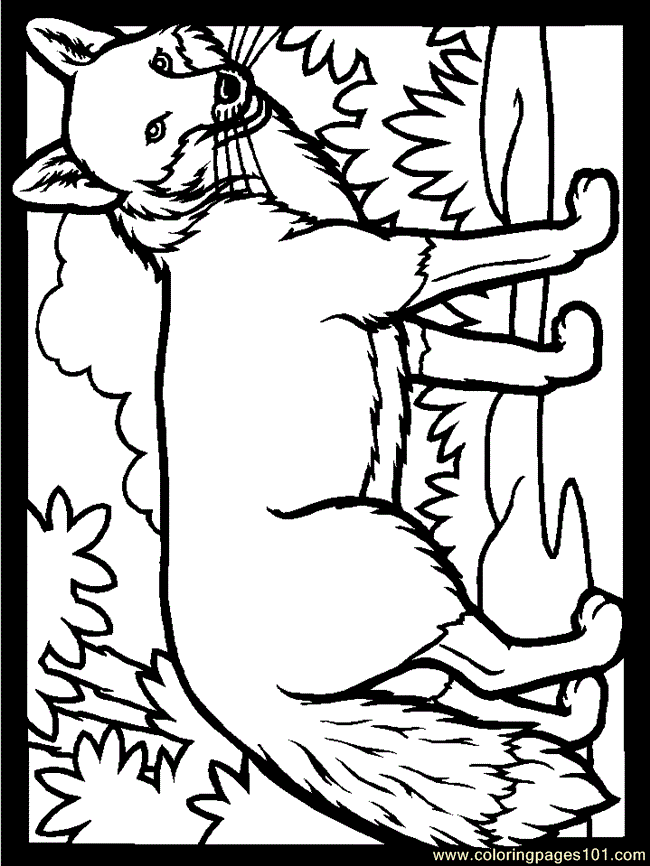 31 Cunning Fox Coloring Pages Printable 24