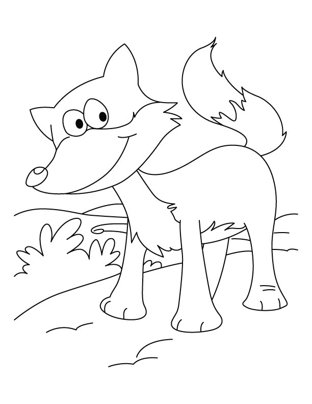 31 Cunning Fox Coloring Pages Printable 25