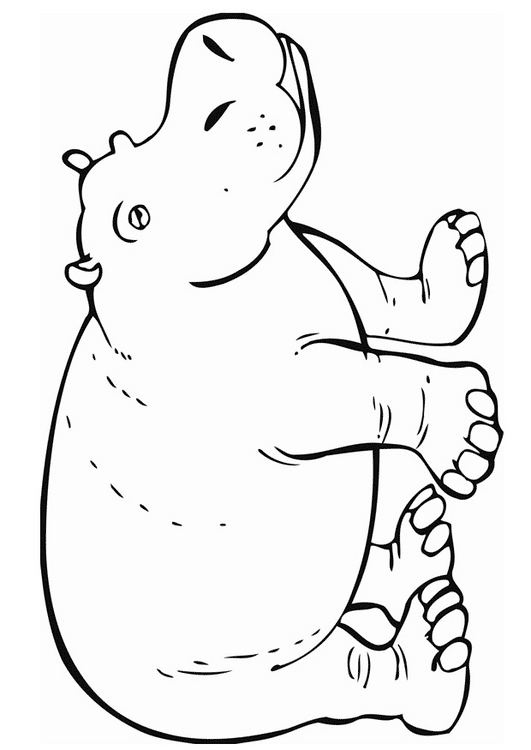 35 Happy Hippo Coloring Pages Printable 2