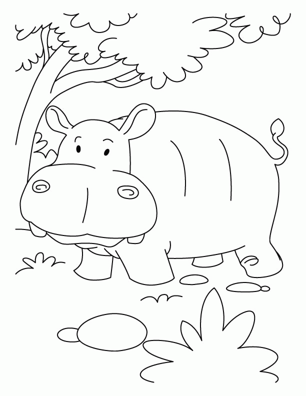 35 Happy Hippo Coloring Pages Printable 29