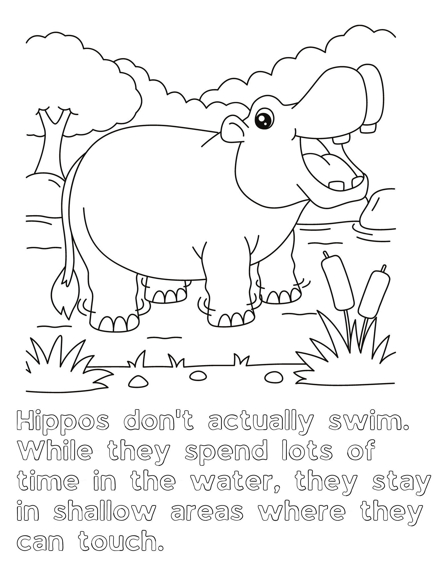 35 Happy Hippo Coloring Pages Printable 31